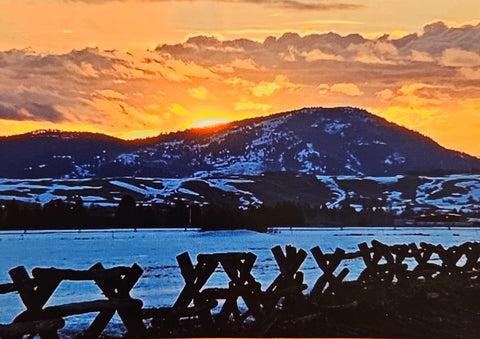 Photocard - Fence Sunset